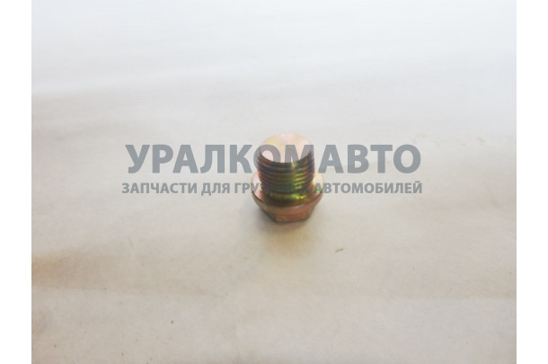 Пробка поддона 13022897